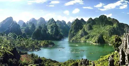 植物大战僵尸